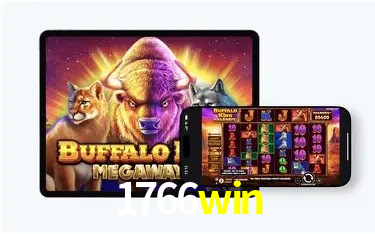 Níveis do programa VIP da 1766win